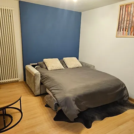Magnifique Renove A Daire Leukerbad
